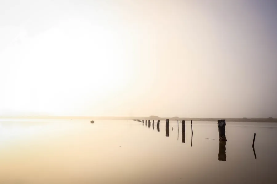 The posts of an unfinished dock in a misty sea